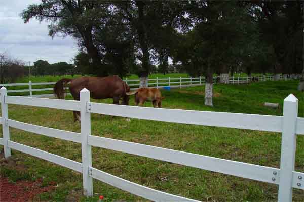 Cerca o corral para caballos 3 barandas - Ideaverde.com.mx
